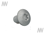 Torx screw - More 1