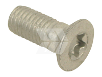 Torx screw