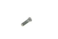 Wheel bolt