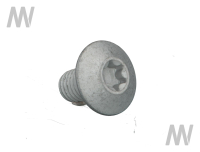 Torx screw