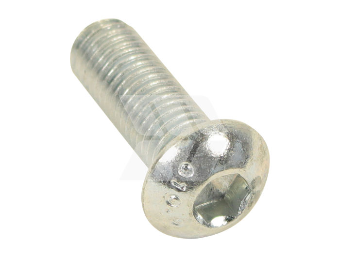 Round head screw - Detail 1