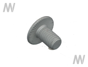 Torx screw - More 2